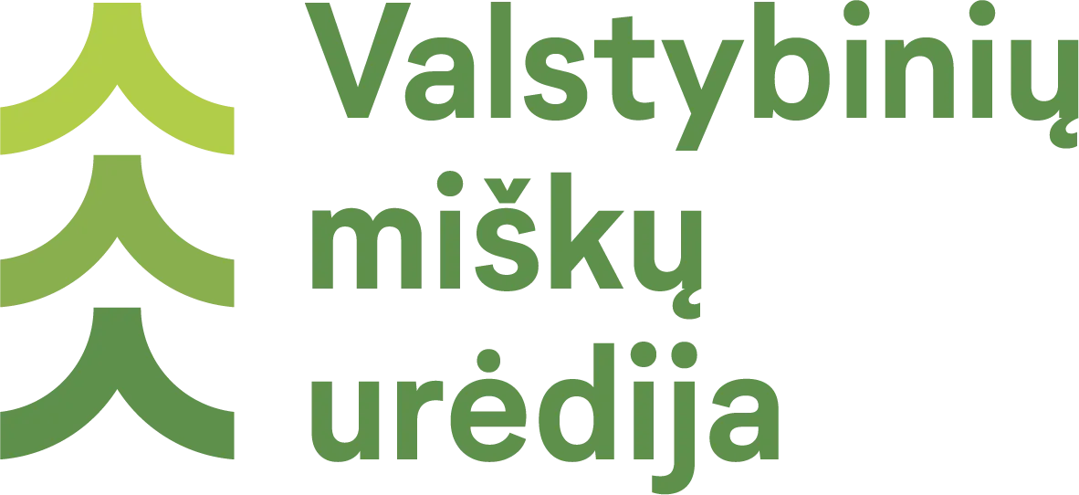 IT specialistas (-ė)