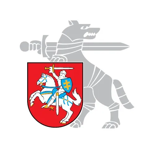 Infrastruktūros valdymo agentūros direktorius