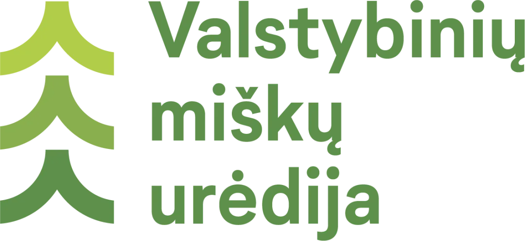 Medienos meistras (-ė)