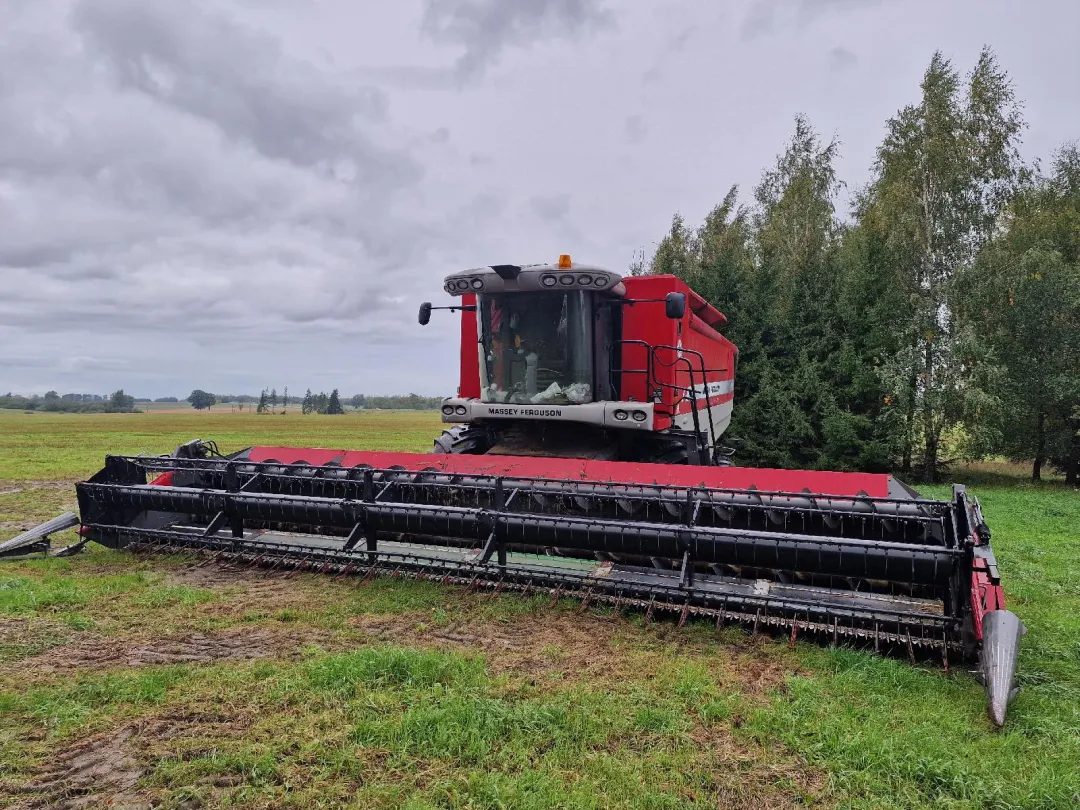 Massey Ferguson 9280 Delta javų kombainas su pjaunamąja